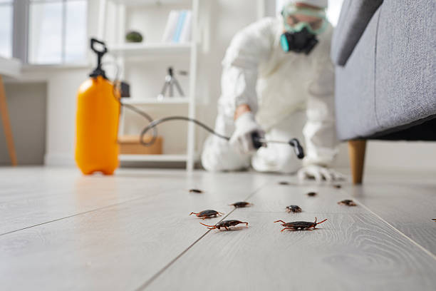 Commercial Rodent Management in Sanibel